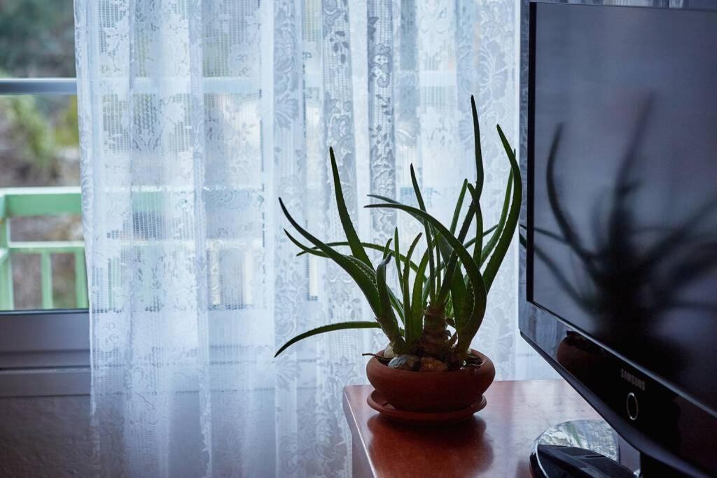 Art Luxury Designer Apartment 德拉玛 外观 照片